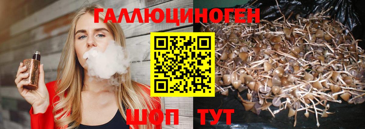 Псилоцибиновые грибы Cubensis Губкинский